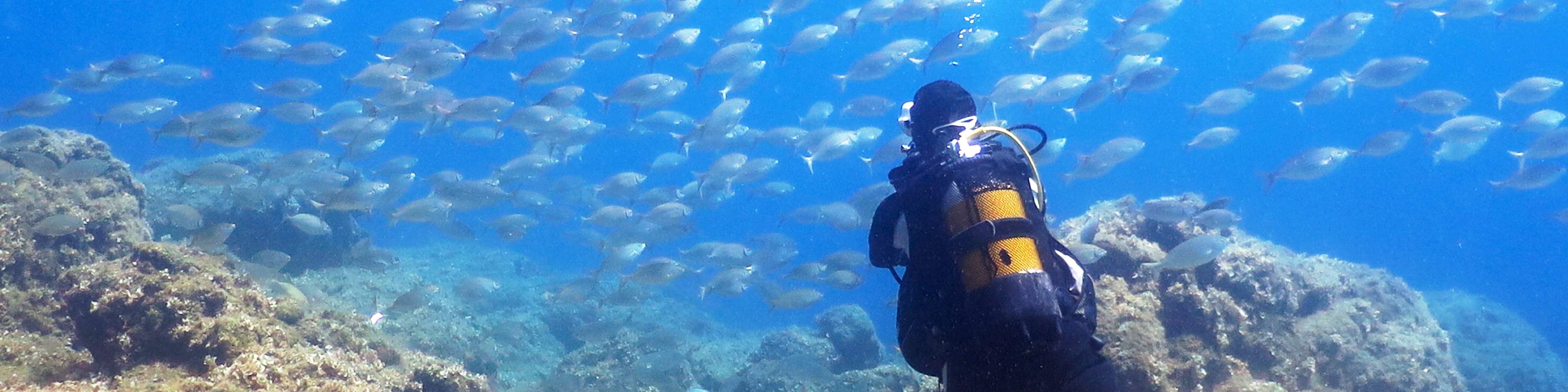 PADI進階開放水域潛水員【線上學習】